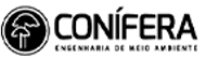 Captura de tela 2025-04-08 134750